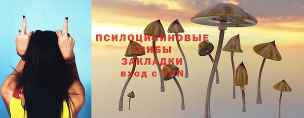 2c-b Туринск